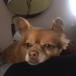 Meet your Posher, Cristina